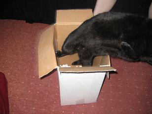 tl_files/thrilleronline_files_v1/images/Bilder/Gewinnspielfotos/Gewinnspiel 21/NichtMitMir.JPG